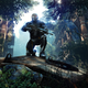 Image for article titled Crysis 3 Transforms New York City in 2013